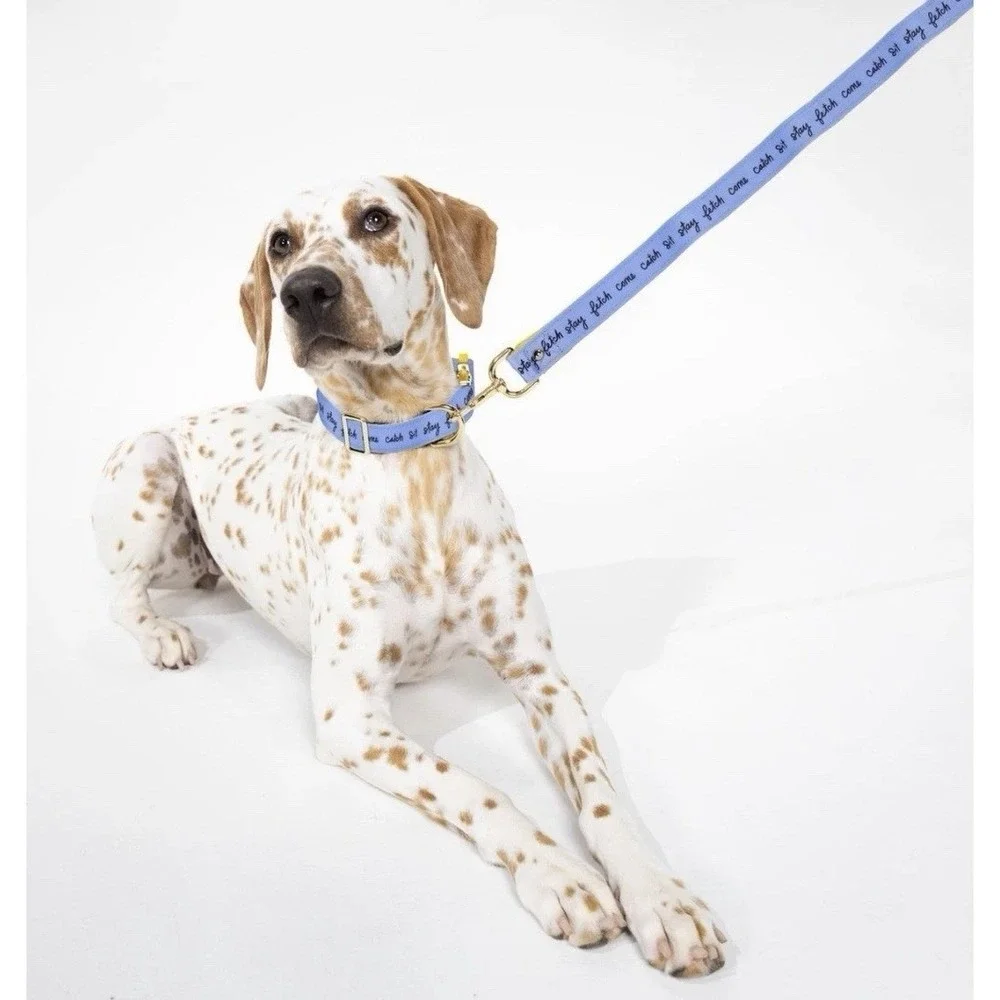 NWT Kate Spade New York Cute Dog Collar with Gold Metal Details & Plastic Buckle